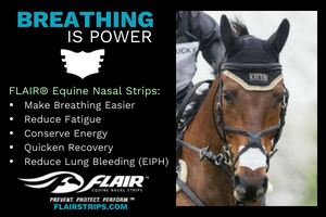 Flair Equine Nasal Strips German Eventing